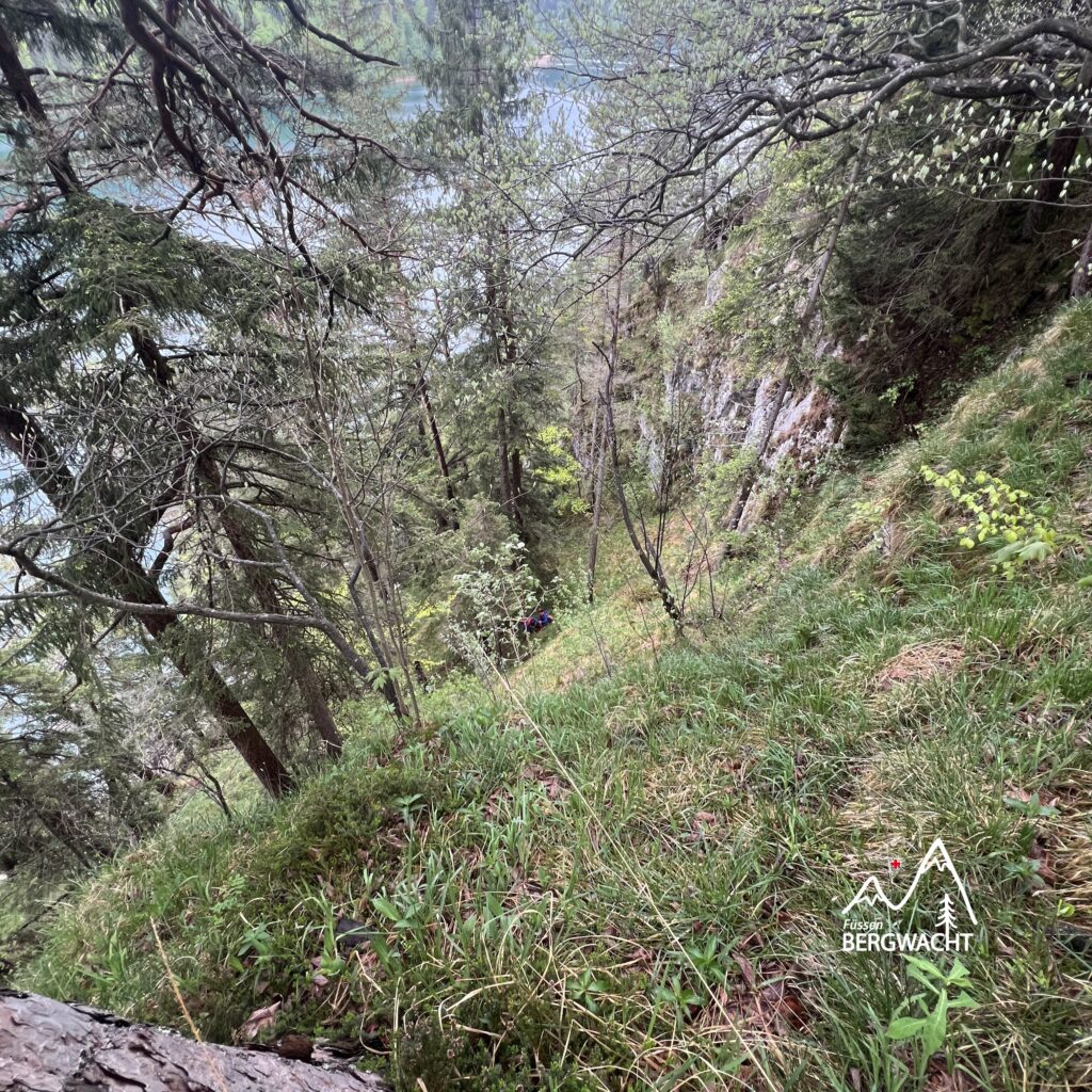 20250506_Alpsee_4