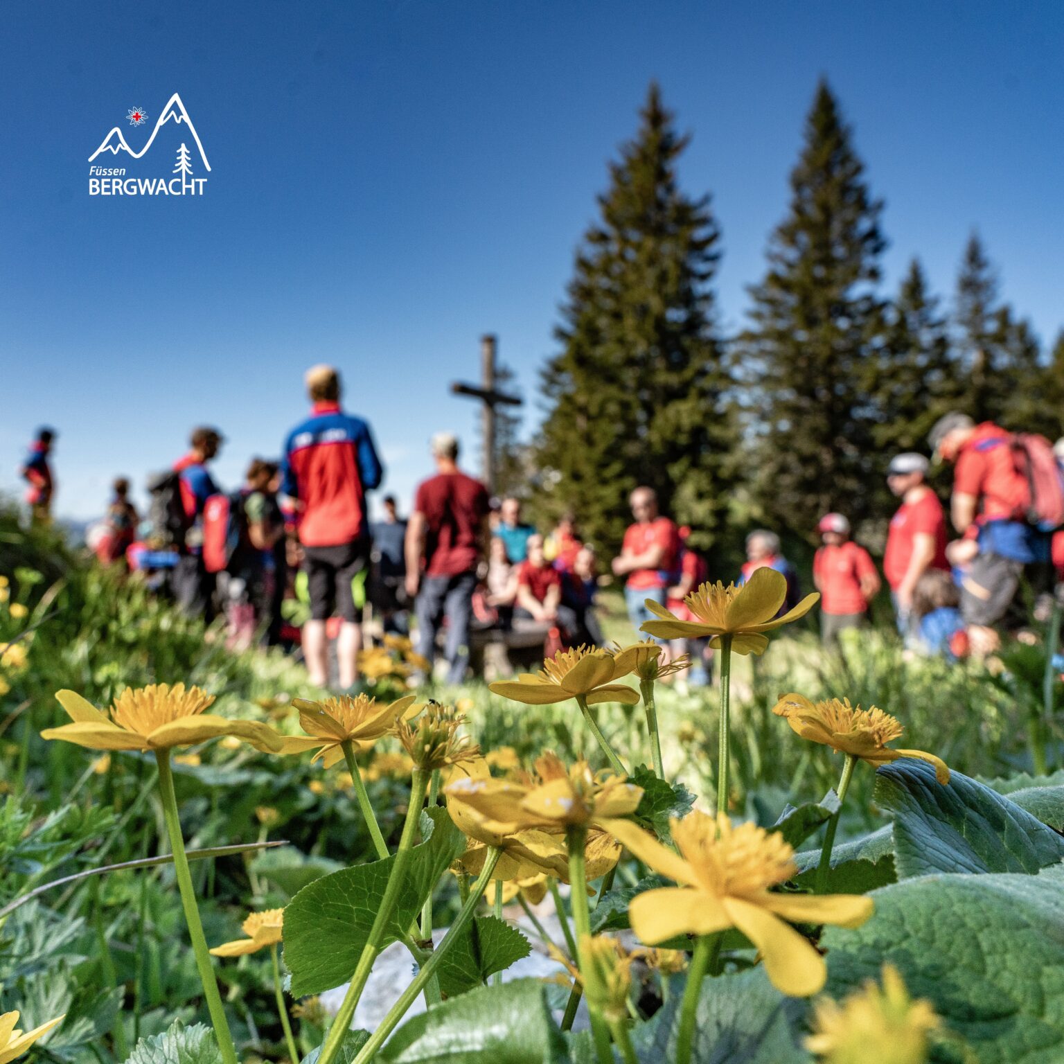 Naturschutztag der Bergwacht Region Allgäu auf dem Tegelberg