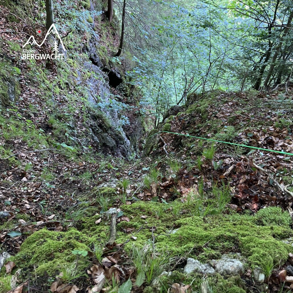 20250606_Berzenkopf_Hund_3
