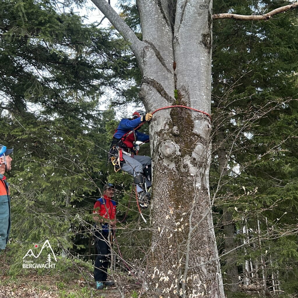 20260417_Baumbergung_10