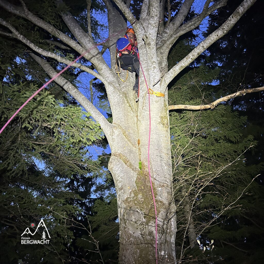 20260417_Baumbergung_12