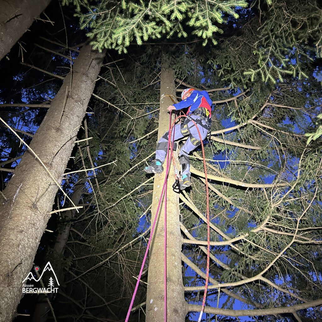 20260417_Baumbergung_13