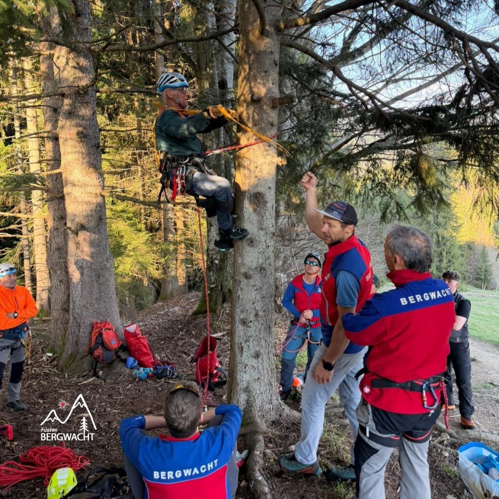 20260417_Baumbergung_6