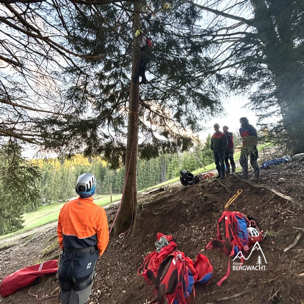 20260417_Baumbergung_8