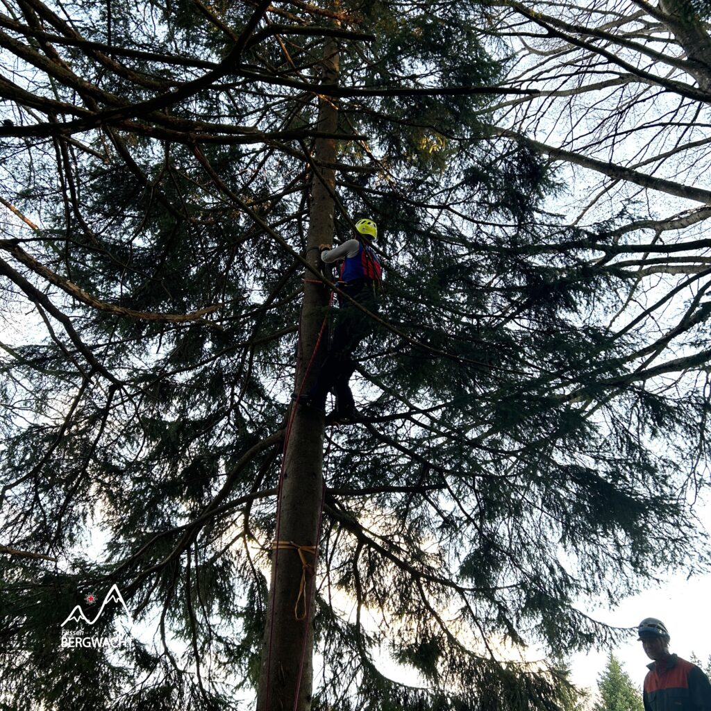 20260417_Baumbergung_9