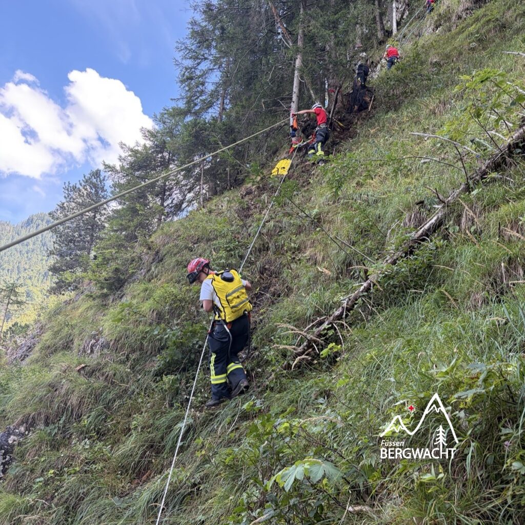 20260829_Vegetationsbrand_Alpsee_0