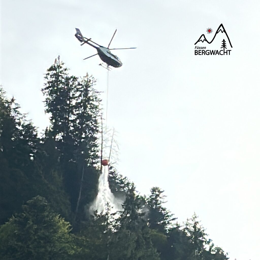 20260829_Vegetationsbrand_Alpsee_2
